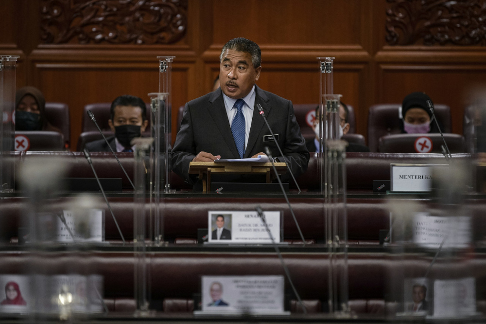Deputy Home Minister Datuk Seri Ismail Mohamed Said at the Dewan Negara, October 20, 2021. u00e2u20acu201d Bernama pic 