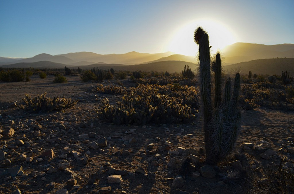 View of the Atacama desert, near the place where the Dominga mining project will be built, in La Higuera, Chile, on October 5, 2021. u00e2u20acu201d AFP pic