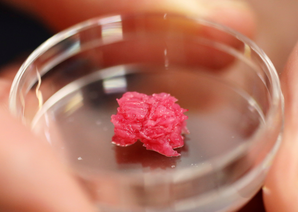Osaka University Professor Michiya Matsusaki holds a Petri dish with cultured Wagyu beef at a lab at the university in Suita, Osaka Prefecture, Japan October 5, 2021. u00e2u20acu201d Reuters picnn