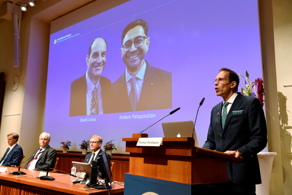 Winners of the 2021 Nobel Prize in Physiology or Medicine David Julius and Ardem Patapoutian (seen on the screen) are announced during a press conference at the Karolinska Institute in Stockholm October 4, 2021. u00e2u20acu201d TT News Agency/Jessica Gow pic via Reut