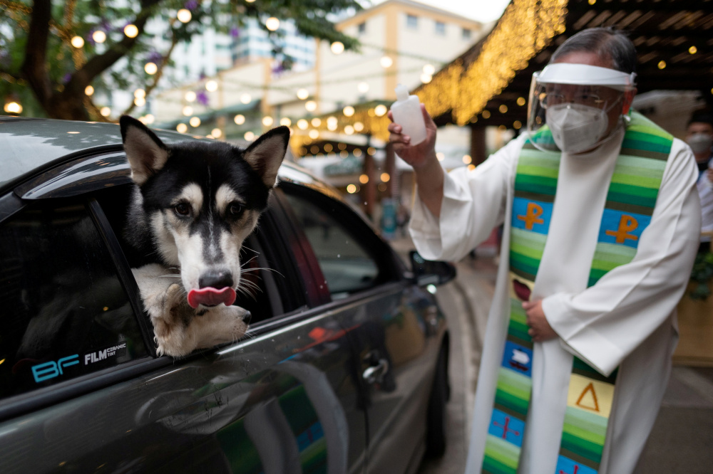 A priest sprinkles holy water as dogs look out from the car window at a drive-through pet blessing, a day before World Animal Day, at Eastwood Mall in Quezon City, Metro Manila October 3, 2021. u00e2u20acu201d Reuters pic