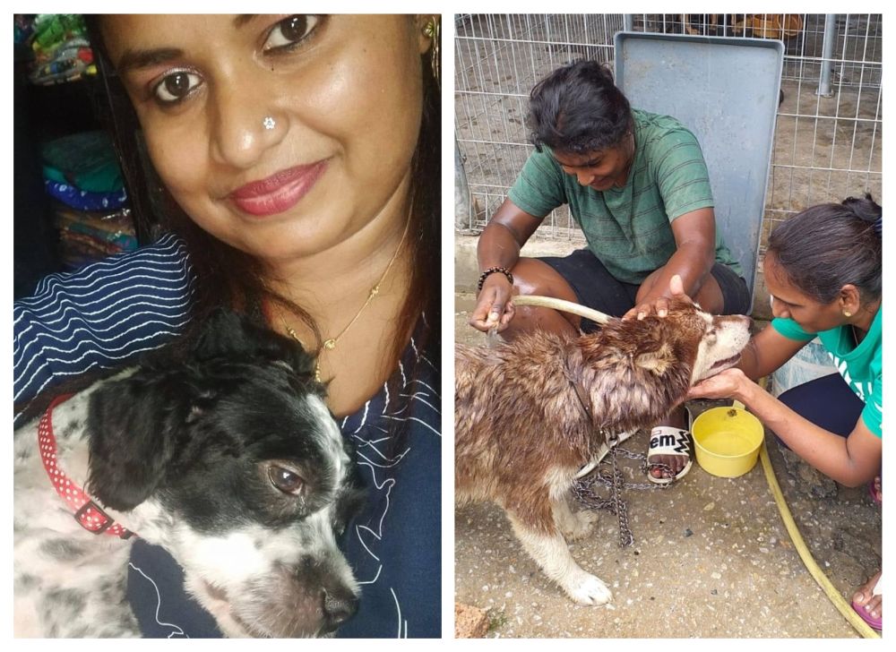 nSiti Fauziah (left) has been putting up posters to call volunteers to help bathe and feed the strays in the shelter. u00e2u20acu201d Picture via Facebookn