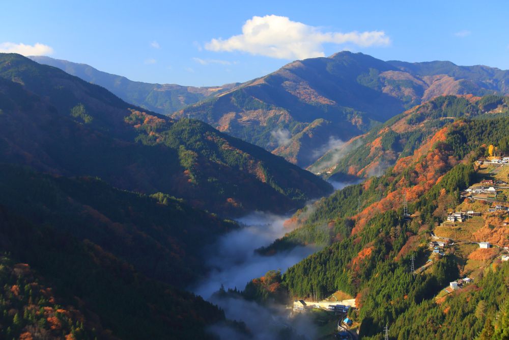 Shikoku in Japan is billed as a trendy destination for 2022 in Lonely Planet's latest Best in Travel selection. u00e2u20acu201d Picture via ETX Studio