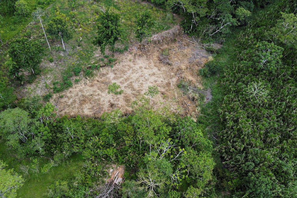 Aerial view of deforested area at the Amazon jungle of Puerto Asis rural area, department of Putumayo, Colombia November 6, 2021. u00e2u20acu201d AFP pic