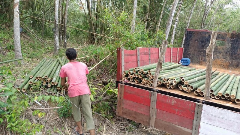 Izahar collecting bamboo, which is one of the top-selling items in his store. The bamboo is used to cook lemang. — Picture courtesy of Shopee