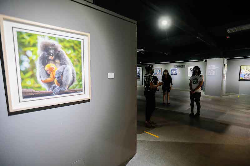 Visitors look at the installations at the Langur Exhibition at Penang State Art Gallery, Dewan Sri Pinang, November 8, 2021. — Picture by Sayuti Zainudin