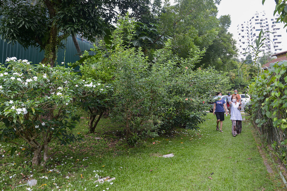 The green patch in question... residents have been told to 'vacate' so TNB can re-align its fence. — Picture by Miera Zulyana