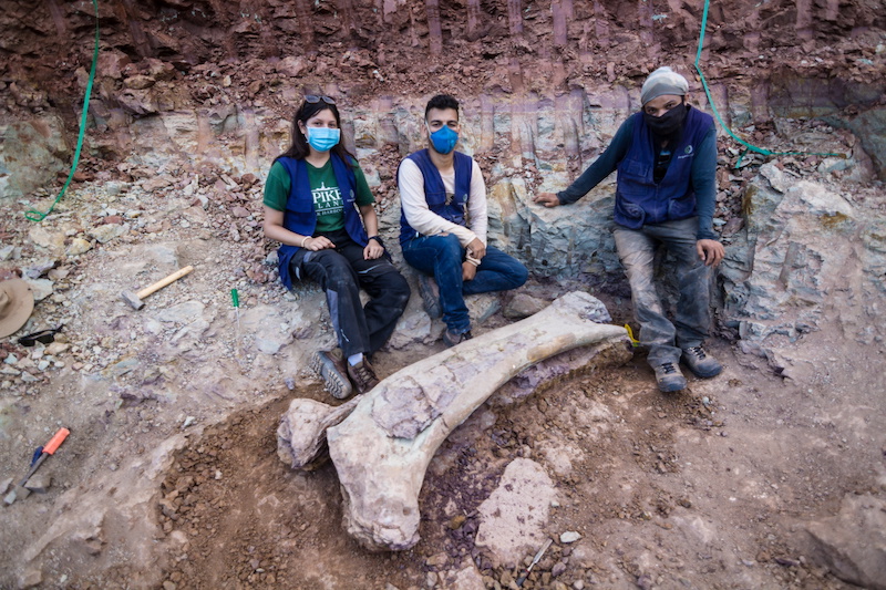 Palaeontologists from the Federal University of Santa Maria pose for a picture next to a giant dinosaur bone found in Divinopolis, Maranhao state, Brazil June 10, 2021. u00e2u20acu201d AMAI Fotografia handout via Reuters