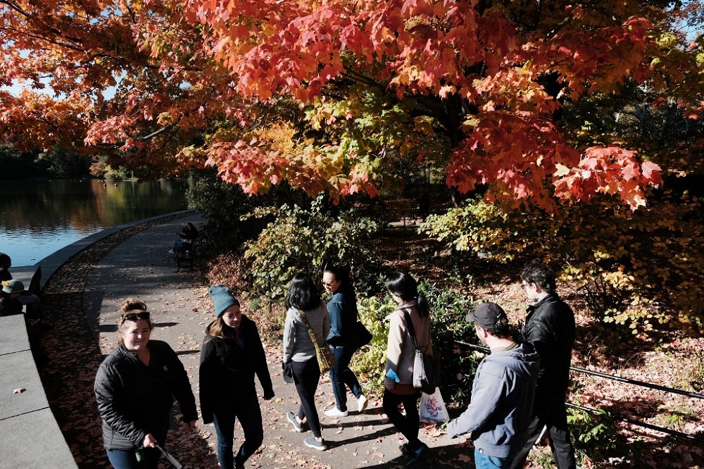 People walk through Prospect Park in Brooklyn as fall foliage nears its peak in New York on November 7, 2021. u00e2u20acu201d AFP pic