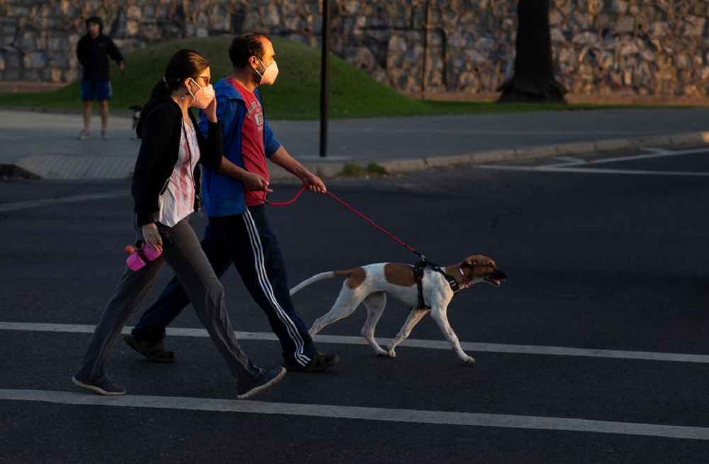 Unable to walk her dog due to lockdown at her apartment, a Chinese pet owner decided to improvise by walking her dog using a torn bedsheet. u00e2u20acu201d Reuters pic
