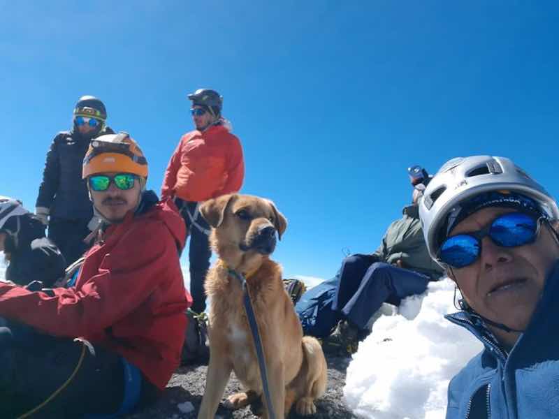 Canelo, a stray mixed breed dog, has been rescued from an inactive volcano by a group of mountain climbers after the pooch was stranded on top for a month. u00e2u20acu201d Picture via Facebook/ Layo Aguilar
