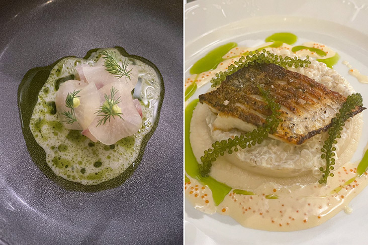 The entree from last week's omakase was a refreshing pompano fish with passionfruit, coconut and kaffir lime flavours (left). The main course used the catch of the day fish served on top of a creamy barley risotto, cauliflower puree served with tobiko sauce and 'latok' (right) — Picture by Lee Khang Yi