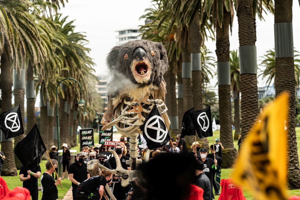 Blinky, the smoking screaming four-metre high koala puppet, is seen as Extinction Rebellion activists hold a koala funeral to mark climate change, in Melbourne, Australia November 6, 2021 in this picture obtained from social media. u00e2u20acu201d Reuters picnn