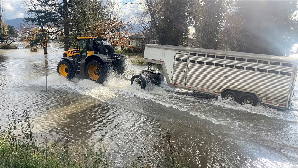 Farmers travel across flood waters to rescue their livestock in Abbotsford, British Columbia, Canada, November 16, 2021, in this still image from video obtained via social media. u00e2u20acu2022 Derrek Pryor via Reuters
