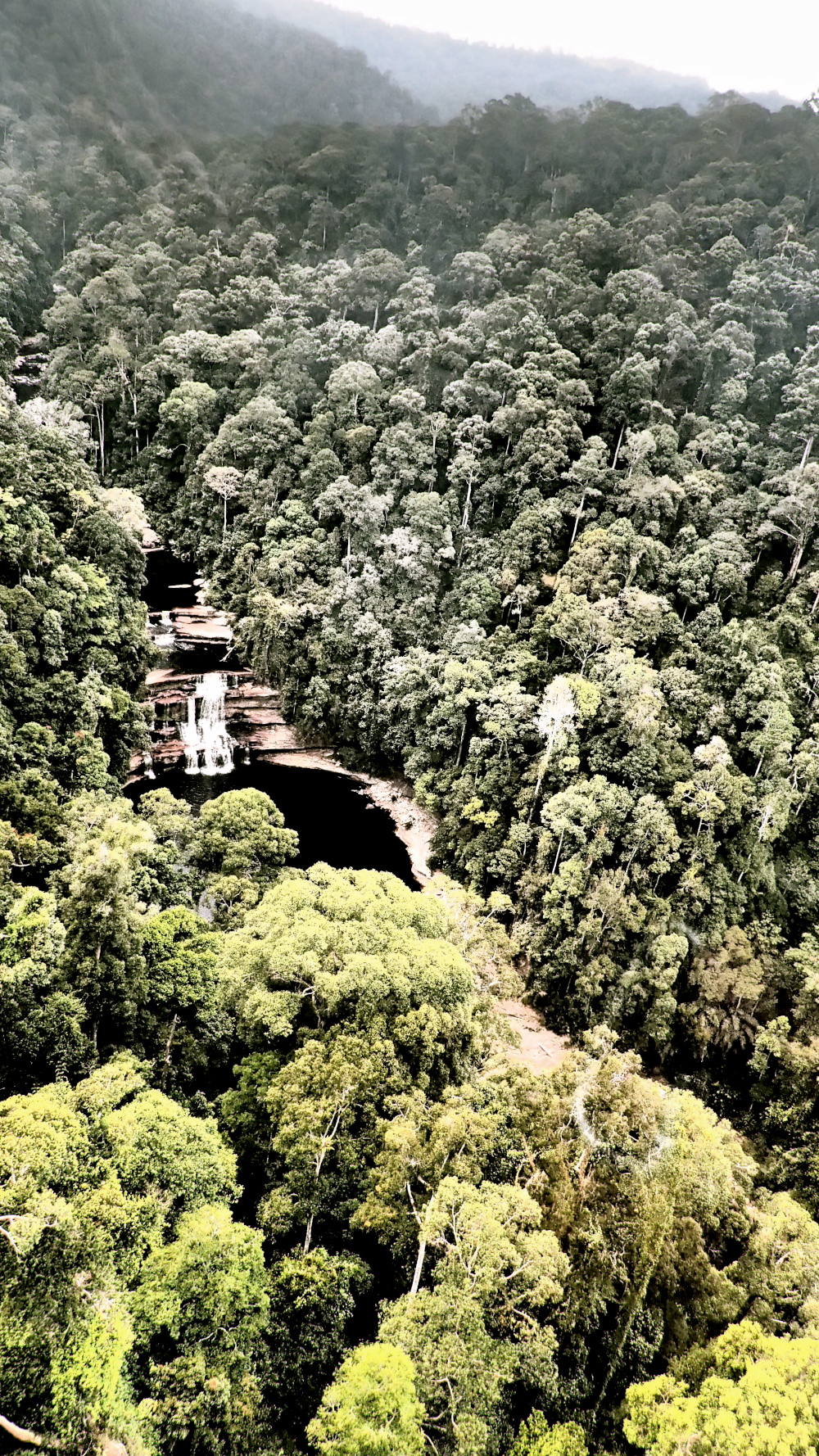 A view of the Maliau Basin Conservation Area. — Picture by LEAP 