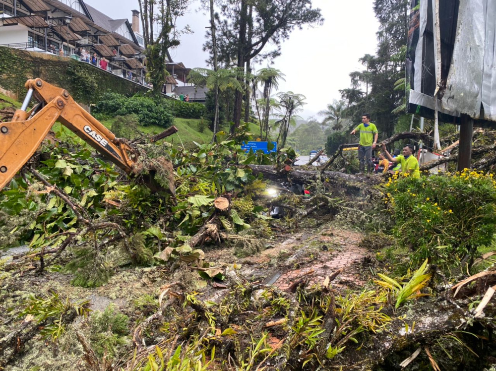 Pahang Fire and Rescue Department Zone 3 chief Shahrul Nizam Nasir said the victim, who was a passenger in the vehicle, suffered a nosebleed while three other men in the car did not sustain any injuries. u00e2u20acu201d Picture from Twitter/bernamadotcom