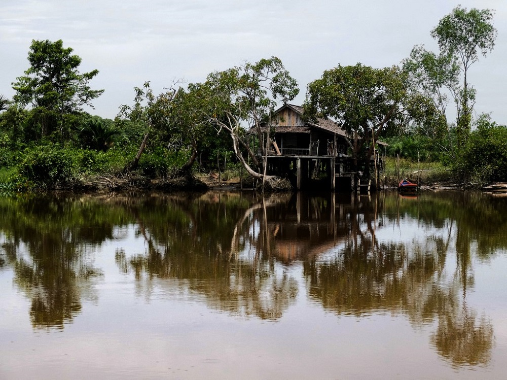 A study found that deforestation and global warming in one Indonesian province caused temperatures to rise nearly a whole degree Celsius in 16 years leading to an eight per cent increase in deaths. u00e2u20acu2022 AFP pic