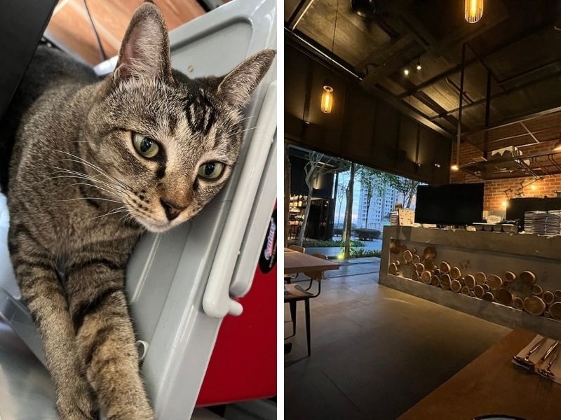 The iPhone 13 cameras are still very good and perform well in lowlight.