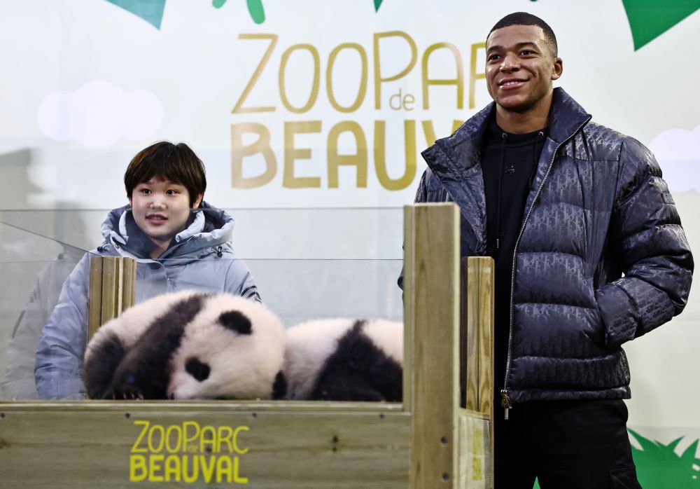 nChinese diver Zhang Jiaqi and French football star Kylian Mbappe pose during a naming ceremony of newborn twin baby pandas, Huanlili (Fleur de Coton) and Yuandudu (Petite neige) at the Beauval Zoo in France November 18, 2021. u00e2u20acu201d Reuters picn