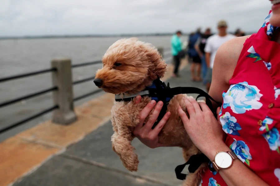 An apartment complex in the US has resorted to testing dog poop to identify owners who failed to clean after their pet. u00e2u20acu201d Reuters picnn