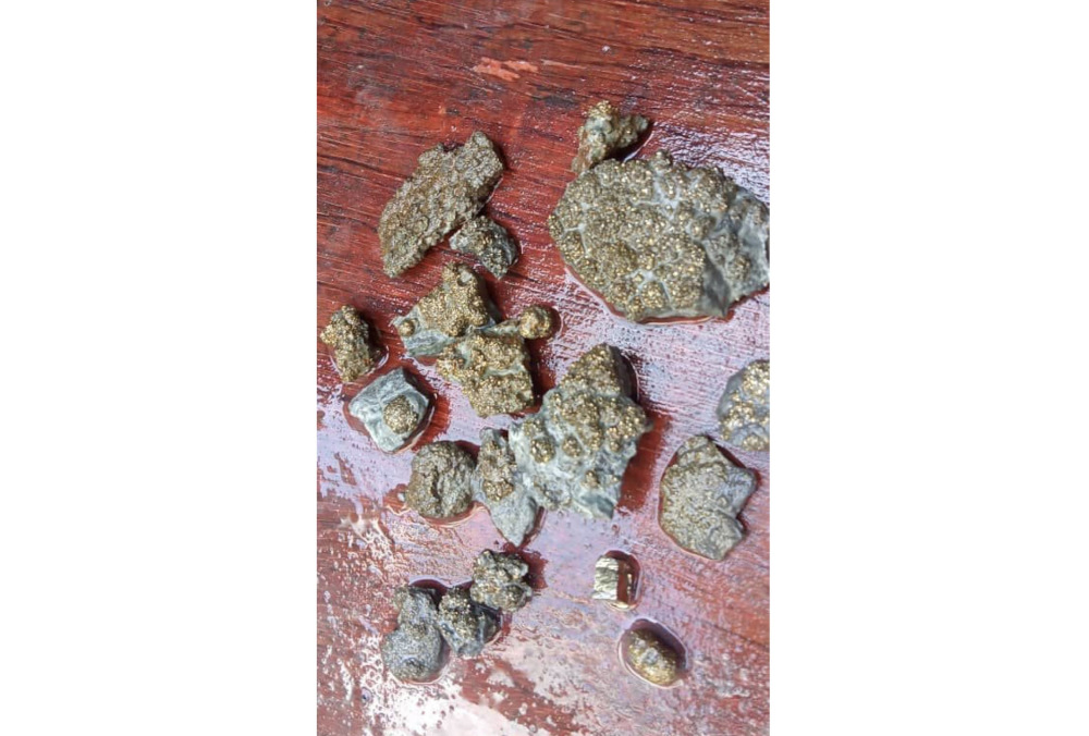 The pyrites found by villagers in Pitas. u00e2u20acu201d Borneo Post pic