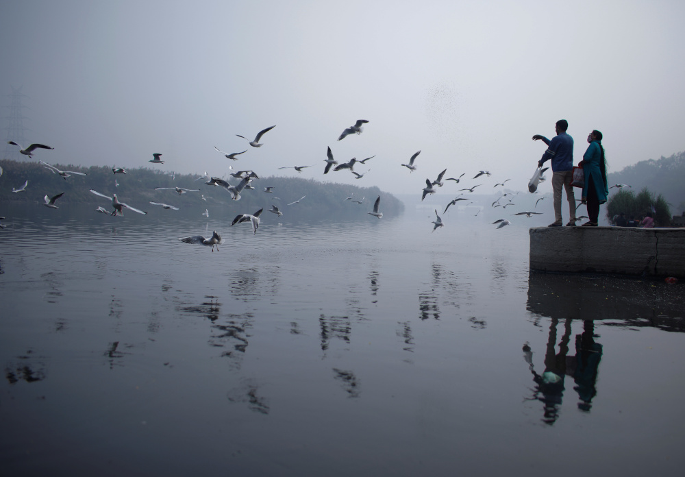 A couple feeds seagulls as they stand on the banks of Yamuna river, on a smoggy morning in New Delhi November 4, 2021. u00e2u20acu201d Reuters pic