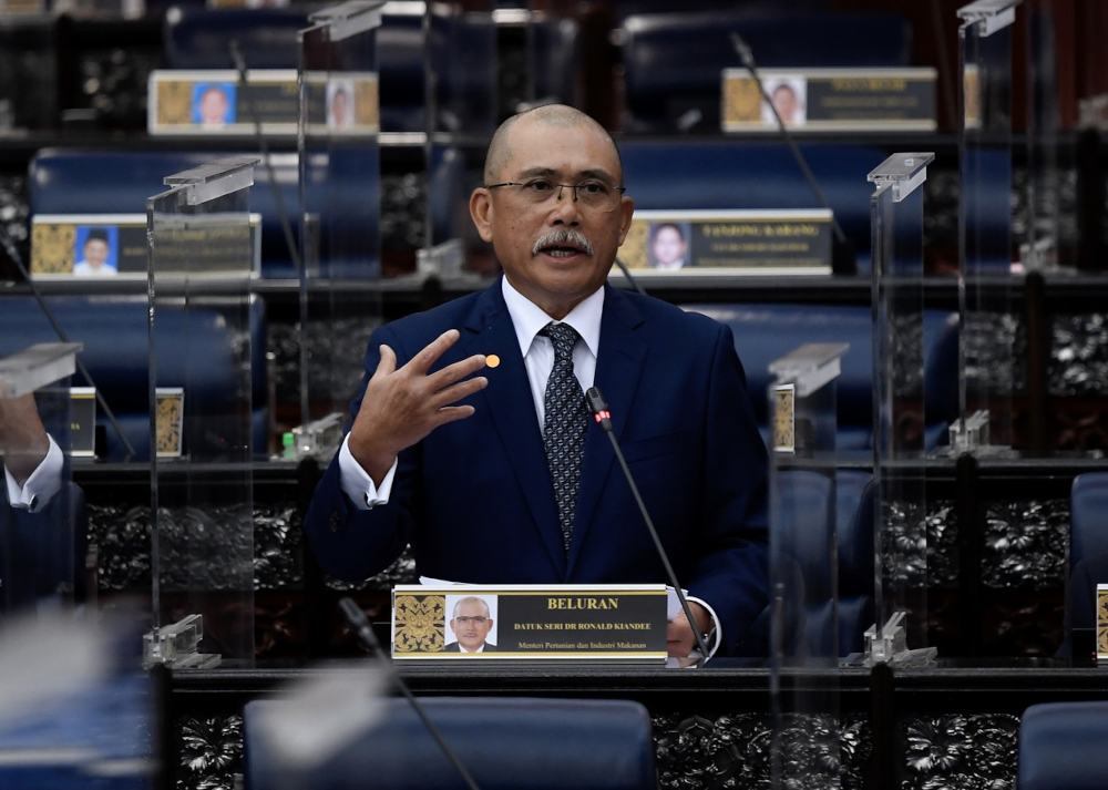 Agriculture and Food Industries Minister Datuk Seri Ronald Kiandee winding up debate on the Supply Bill 2022 in the Dewan Rakyat, November 16, 2021. u00e2u20acu201d Bernama pic 