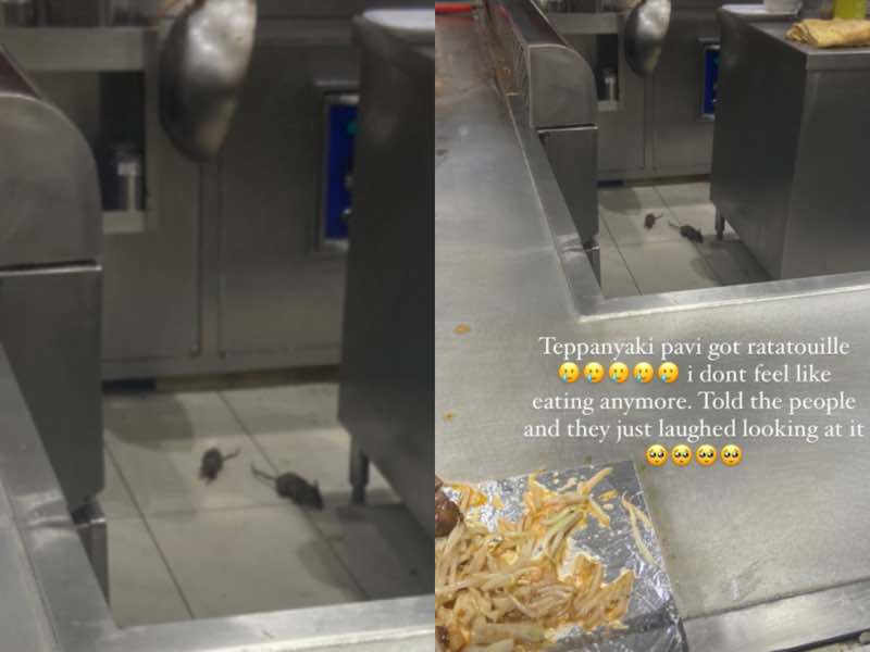 Rats were spotted running around during service hours in a shopping mall food court in Kuala Lumpur recently. u00e2u20acu201d Picture courtesy of Instagram/ sarahshimmers