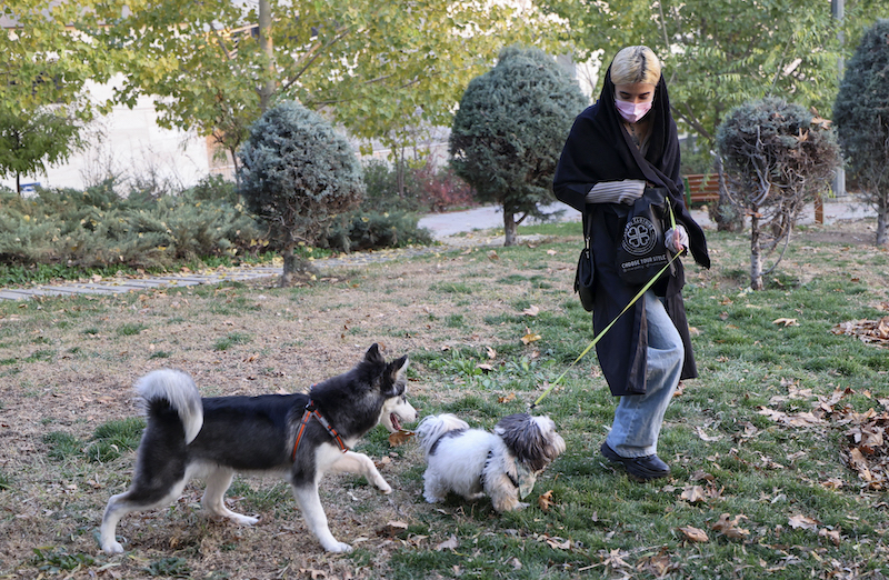 An Iranian woman walks her dog in a park in the capital Tehran December 7, 2021. u00e2u20acu201d AFP pic