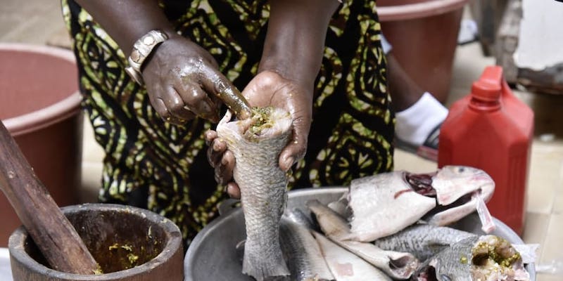 Senegalese cook Thiane Ngom prepares a traditional u00e2u20acu02dcthiebou dieuneu00e2u20acu2122 at her home. u00e2u20acu201d AFP pic