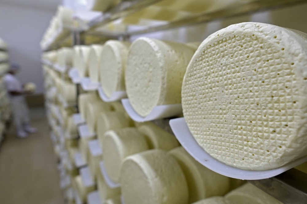 View of Santo Casamenteiro cheese stored in Cruzilia, southern region of Minas Gerais, Brazil December 1, 2021. u00e2u20acu201d AFP pic