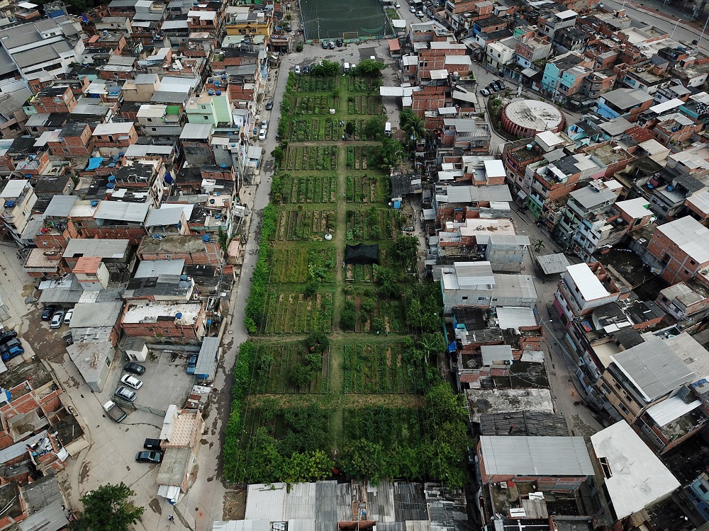 A drone picture of the Horta de Manguinhos (Manguinhos vegetable garden), the biggest urban garden in Latin America, in Rio de Janeiro December 1, 2021. u00e2u20acu201d Reuters pic