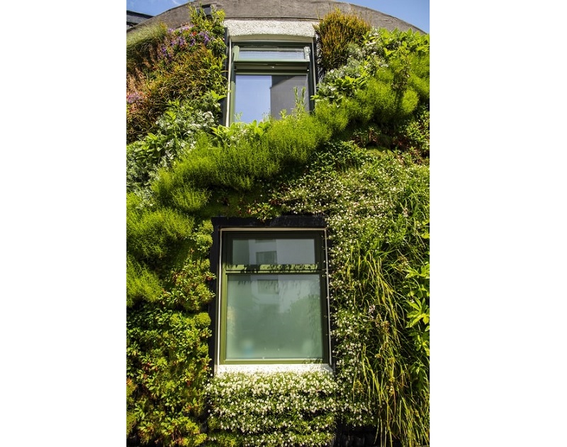 A recent study shows that green walls can reduce heat loss from buildings by about 30 per cent. u00e2u20acu201d Picture courtesy of University of Plymouth via ETX Studio