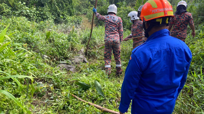 Personnel from the Fire and Rescue Department and APM lead the reptile back to the river. u00e2u20acu201d Borneo Post
