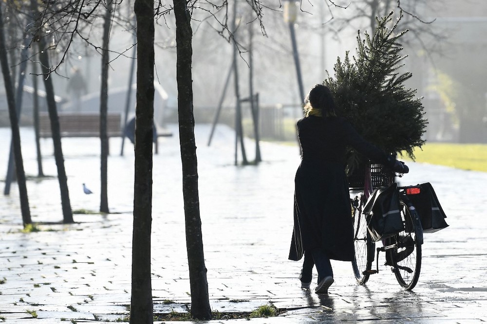 A customer picks up a Christmas tree at a u00e2u20acu02dcRent a Christmas Treeu00e2u20acu2122 pick-up point in Utrecht, central Netherlands, on December 11, 2021. u00e2u20acu201d AFP picnn