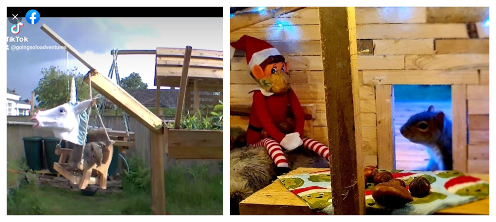 Everitt created a mini village which features a Swingers Club and a cozy Christmas cabin for the squirrels. u00e2u20acu201d Screengrab via Facebook/GoingSoloAdventuresbyPaulEveritt