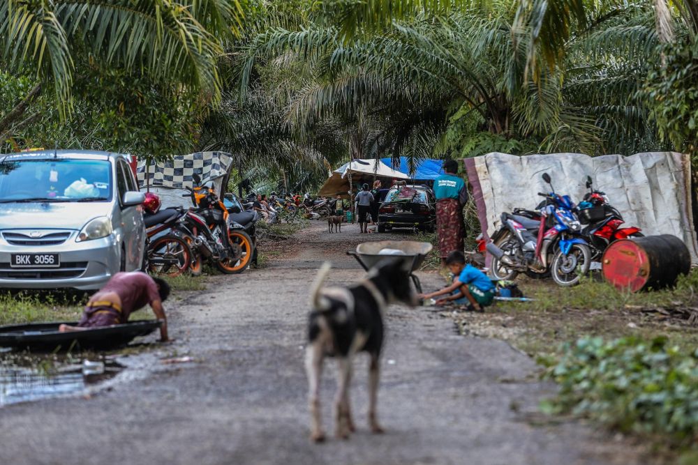 The Orang Asli community of Kampung Labohan Dagang are seen erecting temporary shelters after their village was hit by floods in Banting December 22, 2021. u00e2u20acu201d Picture by Hari Anggarann