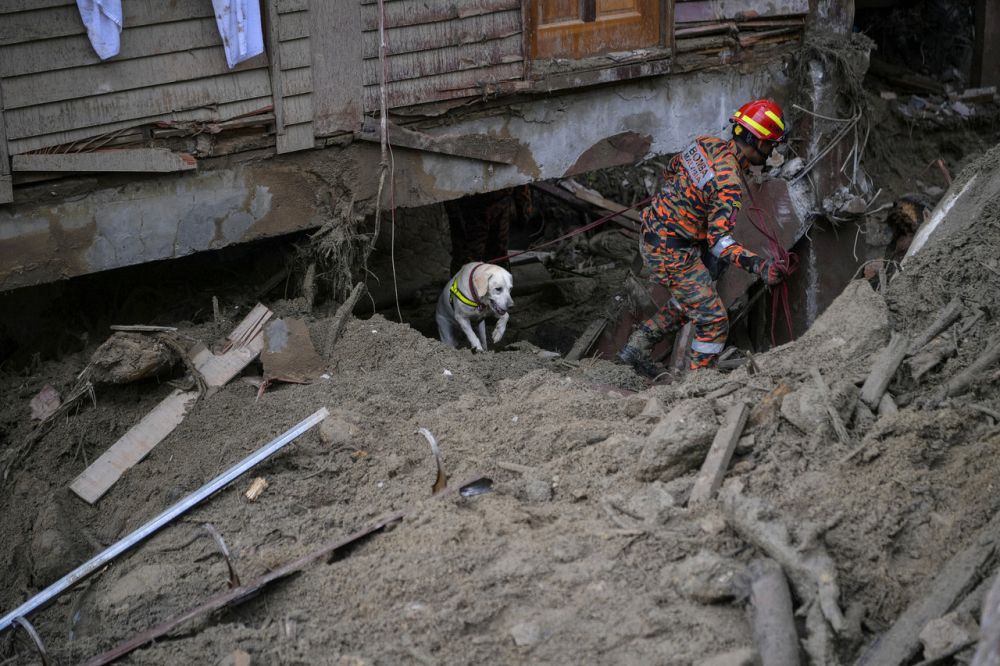 A K9 unit search for missing victims at the Bobby Eco Farm Resort in Bentong December 21, 2021. — Bernama pic