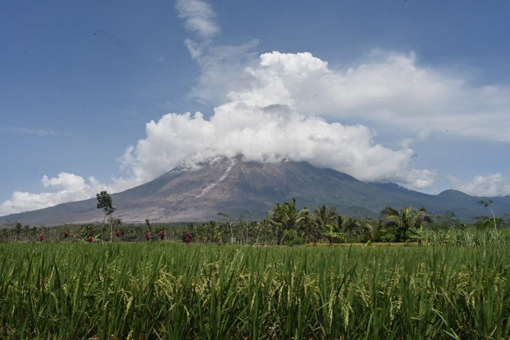 Mount Semeru is seen at the Curah Kobokan village in Lumajang December 7, 2021, following the volcanou00e2u20acu2122s eruption that killed at least 22 people. u00e2u20acu201d AFP pic 