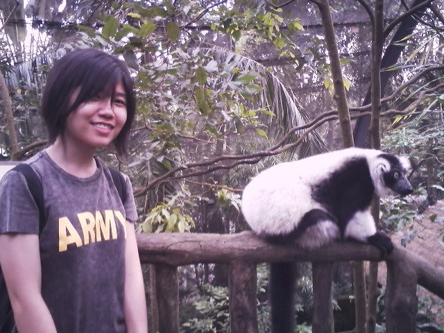 The author with a white-belted ruffed lemur on a visit to Singapore Zoo when she was 18 years old. — Picture courtesy of Alvona Loh Zi Hui