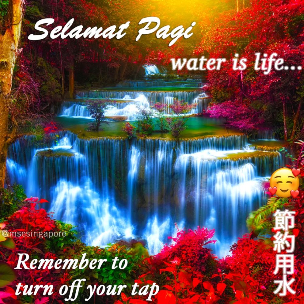 Singaporeu00e2u20acu2122s Sustainability and Environment Ministry took inspiration from senior Singaporeans for its latest public service announcement. u00e2u20acu2022 Picture via Facebook