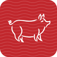 The Pig is the luckiest in 2022.  