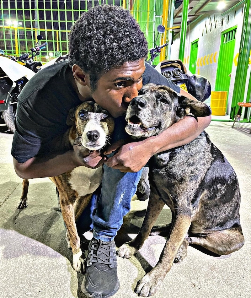 Choco has been hailed a hero after going all out to celebrate one of his dog's birthdays with cake and cute party hats. u00e2u20acu201d Picture via Instagram/joseluis.matos.7906