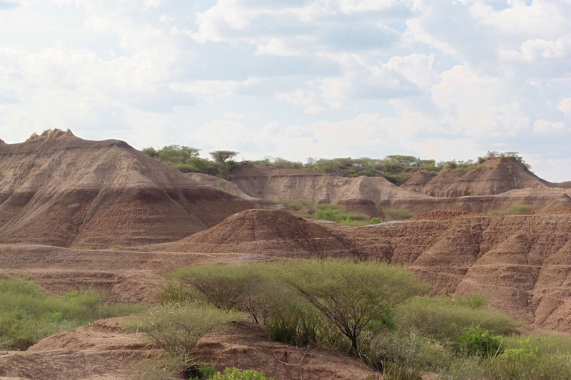 The Omo Kibish geological formation is seen in southwestern Ethiopia, near the location where Homo sapiens fossils were discovered in the late 1960s, in this handout photograph obtained by Reuters on January 12, 2022. u00e2u20acu201d Celine Vidal handout via Reuters