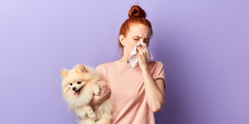 Researchers have discovered the allergen responsible for 50 to 70 per cent of reactions in people allergic to dogs. u00e2u20acu201d Picture courtesy of UfaBizPhoto / Shutterstock via ETX Studio