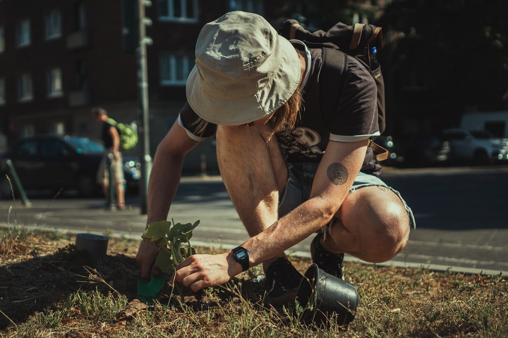Practitioners of guerrilla gardening note that it does not require money or expert plant knowledge. u00e2u20acu201d Unsplash pic
