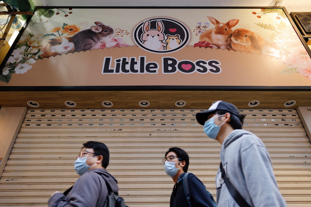 People stand in front of a temporarily closed pet shop after the government announced to euthanise around 2,000 hamsters in the city in Hong Kong, China, January 18, 2022. u00e2u20acu201d Reuters pic