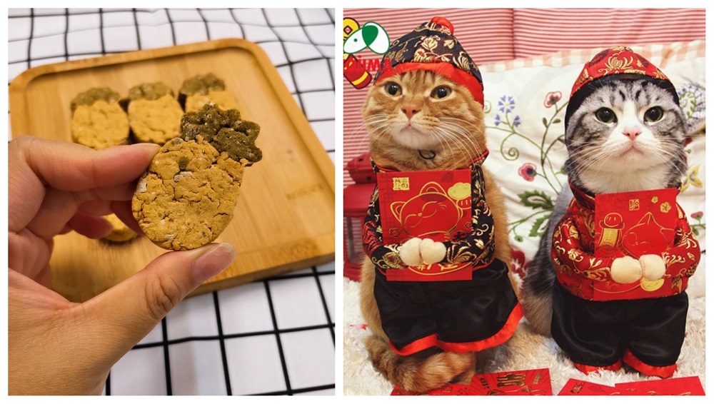 Pet businesses are making sure your four-legged family members usher in the Year of the Tiger with a roar.  u00e2u20acu201d  Pictures via Shopee/ Paws Snacks Store, Cats Garden