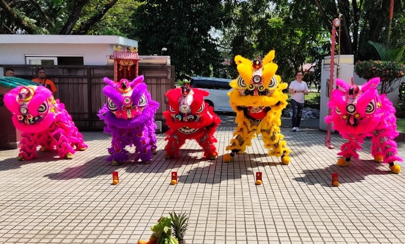 Hong said that many of the team's dancers ventured into other freelance jobs after being unable to work as full-time dancers during the lockdowns. — Picture via Calvin Hong Weir Hahn