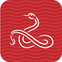 It’s a prosperous year for the Snake.  